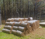 Pine Straw Mulch - Premium, All Natural 1100 Sqft